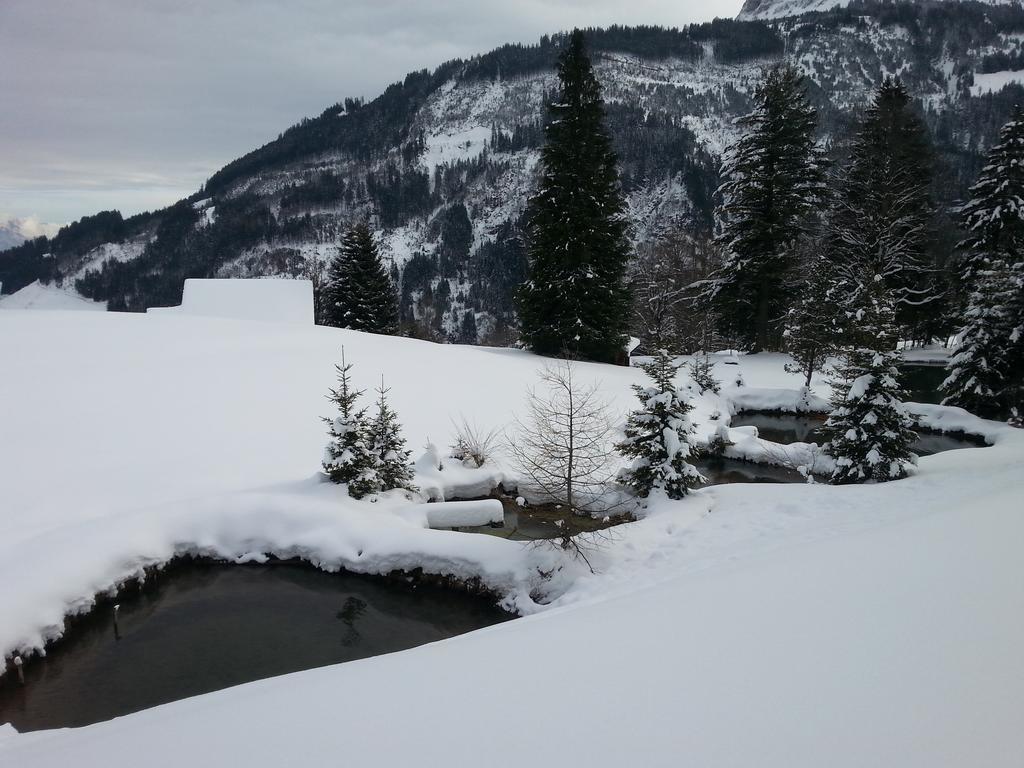 FlumserbergSchwendihofアパートメント 部屋 写真