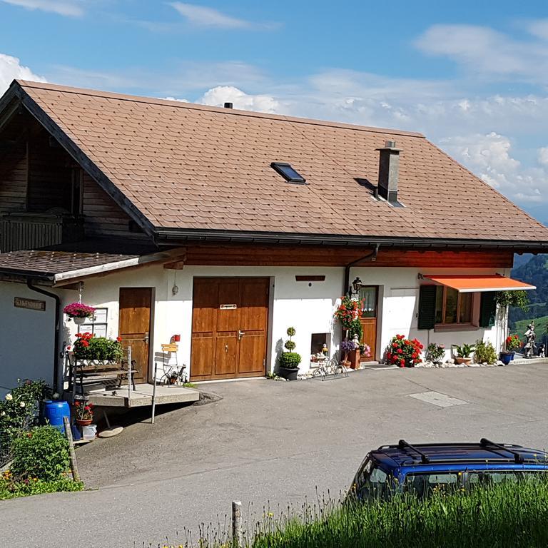FlumserbergSchwendihofアパートメント エクステリア 写真
